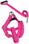Dog Chest Harness and Walking Strap Set - 3