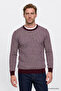 Men's Burgundy-White Warm Standard Fit Regular Cut Crew Neck Striped Knitwear Sweater - 3