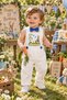 Peter Rabbit Concept Boys Birthday Outfit Pants Overalls Bow Tie Set