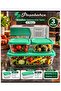 3 Pieces Snowbox Storage Container Small with Green Lid 275 Cc Volume Square Large 1200 Cc Rectangular - 2