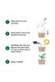Plantable A Pencils Set - 4