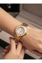 Royal Shine: It Symbolizes the Luxurious and Showy Manner of the Product. - 2