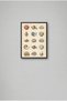 Sea Shells Collection Black Wooden Framed Mdf Painting - Sea and Coastal Bathroom Decor Huhu3255 - Single Painting Black Frame - 2