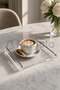Transparent Acrylic Presentation Tray with Shiny Silver Coated Metal Handles (25X19Cm)