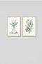 2-Piece Eucalyptus and Monstera Wooden Framed Mdf Painting Set - Spa and Botanical Bathroom Decor Huhu3267 - Double Painting Set Natural Wood Frame - 2