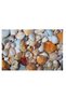 Bath Mat Machine Washable Non-Slip Base Water Absorbent Set of 2 Bath Mats - 6