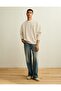 AE Lightweight Logo Sweatshirt