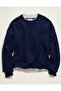 AE Twice As Nice Crew Neck Sweatshirt - 3