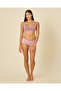 Women Mauve Pointelle Seamless Non-Wired Padded Bras (Pack Of 3) - 3
