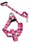 Dog Chest Harness and Walking Strap Set - 3