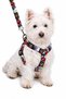 Adjustable Scarf, Chest Harness and Travel Strap Set of 3 - 3
