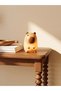 I Animal Figured Decorative Led Light from Freezen Store - 2