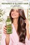 D'Olive Nourishing Repair Care Shampoo 400 ml X 3 Bottles - 2