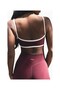 437 the Micro Bra Teddy Cream Micro Sports Bra - 2