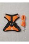 Orange Orthopedic Breathable Perforated Airy Dog Chest Harness + Leash Set - 2