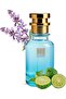 Oil Based Perfume for Men – Aromatic Marine Woody Fragrance with Sea Notes, Bergamot, Rosemary, Sage, Incense & Patchouli – Long Lasting Alcohol-Free Perfume