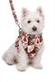 Christmas Series, Adjustable Scarf, Chest Strap and Travel Strap 3-Piece Set - 2