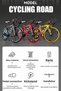 18cm Decorative Racing Bike Model Detailed Mini Bicycle Model Toy Desktop Decor - 3