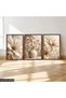 White Elegant Flowers 3 Piece Wooden Framed Painting Act - 2