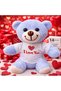 5 Plush Teddy Bears - 25 cm with T-Shirt and "I Love You" Written, Blue Heart, Gift for Lovers Teddy Plush Bear - 2