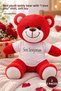 3 Plush Teddy Bears – Red Plush Gift with T-Shirt and "I Love You" Written, Plush Teddy Bear, Soft Toy