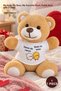1 Piece Plush Teddy Bear - My Dear, My Love, My Honey Printed T-Shirt Teddy Bear Lover's Gift Plush Teddy Bear
