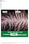 Dercos Anti-Dandruff Hair Care Shampoo for Dry Hair 390 ml X 2 Pcs - 4