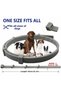 Dog Anti Flea Tick Collar - Anti Flea Collar - Anti Tick Collar 63 cm - 3