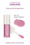 Lip Gloss Lip Glossy Finish No 02