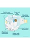 Premium Care Super Pack Size 3 52 Pieces Baby Diapers - 4