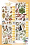 Fairyland of Tales 4 Sheets Sticker, Decal, Diary, Agenda, Planner, Bullet, Journal, Scrapbook