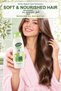 Olive Oil Repair Care Shampoo 450 ml X 4 Bottles - 2