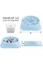 Dog Slow Feeder Bowl,Interactive Puzzle Feeder for Small and Medium Dogs,Anti-Slip Bloat Stop Bowl - 4