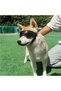 Dog Goggles for Small to Medium Breeds,UV Dog Sunglasses,Windproof and Dustproof Pet Eyewear with Adjustable Straps - 7