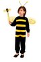 Costume for Boys Bee
