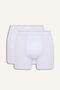 Regular Fit Elastic-Waist Modal 2-Piece Boxer Shorts I6942AX26AU