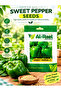 Al-Raei Premium Sweet Pepper (Green Bell Pepper) Hybrid F1 Seeds, High Yield, Non-GMO