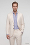 Slim Fit Beige Dobby Suit
