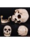 Human Head Resin Replica Medical Model High Quality Decorative Craft Skull Lifesize 1:1 Halloween Ho - 6