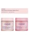 Resveratrol Cashmere Care Set 2 |   Night Cream - Day Cream Original Boy Set