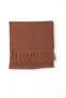 Brown Seamless Soft Textured Flat Cut Ends Tassel Detailed Woven Shawl - 2