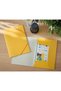 Plastic folder with elastic A4 yellow amber COSY - 2