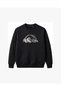 Realistic Baby Penguin Embroidered Crew Neck Sweatshirt Unisex - 2