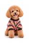 Small Breed 80S Retro Detail Dog Sweater Dog Outfit (1-10kg) - 5