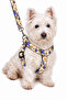 Dog Chest Harness and Walking Strap Set - 2