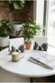 2-Piece Metal Cactus Patterned Napkin Holder, Desktop Decorative, Napkin Holder, Square Napkin Holder 13X10 cm