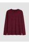 Vizyon New Season Burgundy Large Size Crew Neck Women's T-Shirt