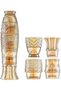 Stackable Drinking Glasses, Fish Design Colored Glass, Stack Tumbler Glass, Nautical Glassware for B