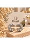 Silver Color Stone and Pearl Detailed Moon Form Women's Earrings