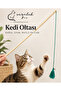 Kedi OLTASI